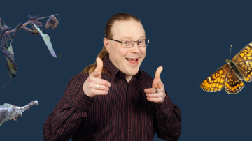Biologin saappaissa 2: Kirjoverkkoperhonen - tavis vai uhis?