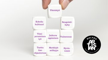 Ketterä Welado Osa 1 – mitä, miksi ja miten ketteröidytään?
