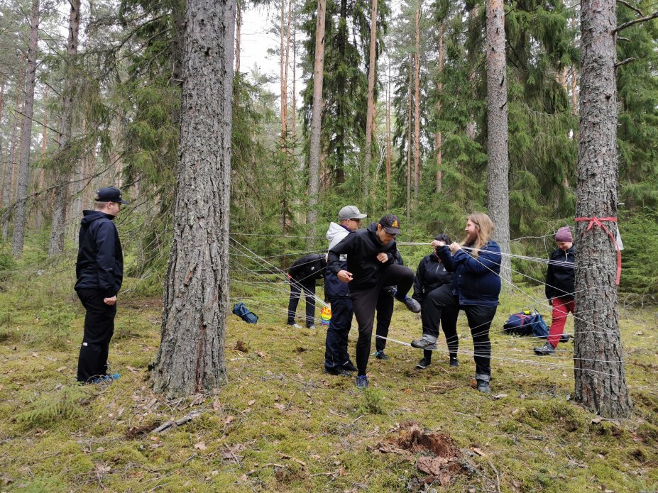 Weladolaiset metsässä